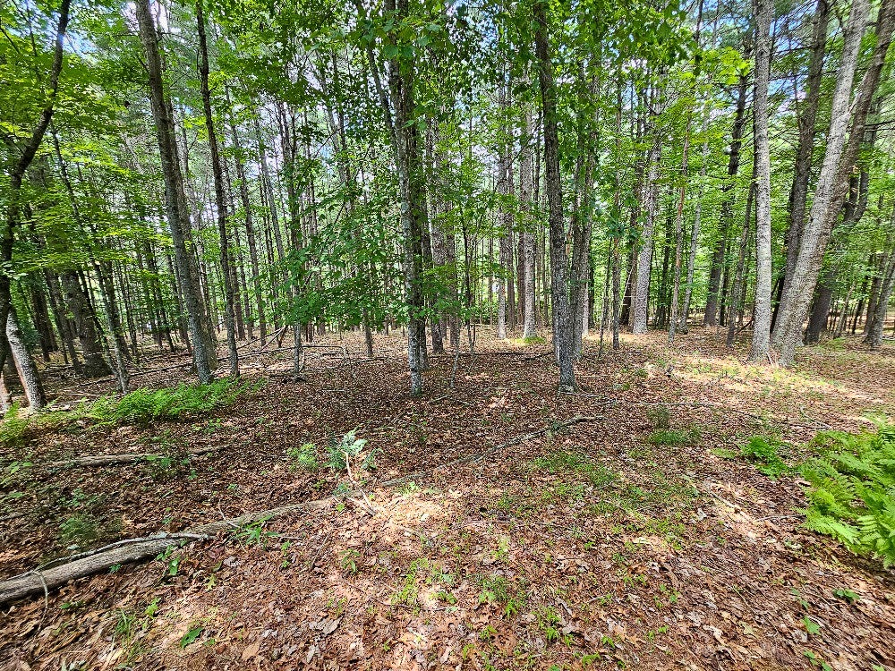 Tbd Stevens Creek Road Fries, VA 24330 - Photo 11 of 13 Gallery Image 11