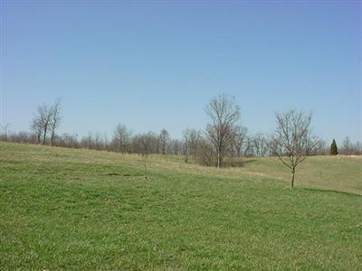 12922 Percival Road Walton, KY 41094 - Photo 7 of 7