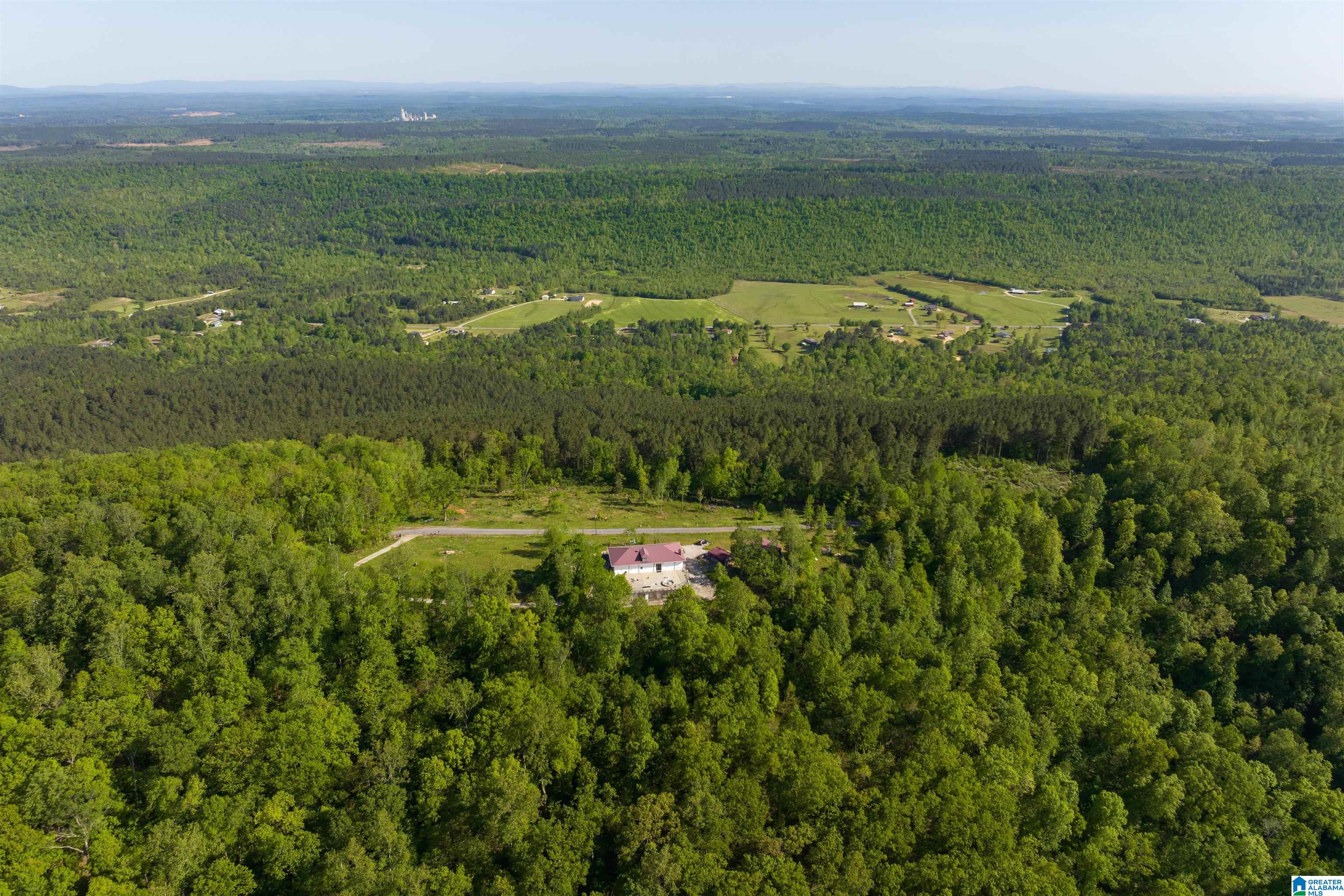 1905 Beaver Mountain Road Ashville, AL 35953 - Photo 44 of 48