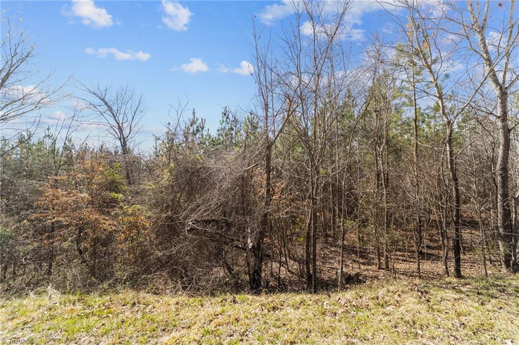 2636 Minden Road Pleasant Garden, NC 27313 - Photo 14 of 17