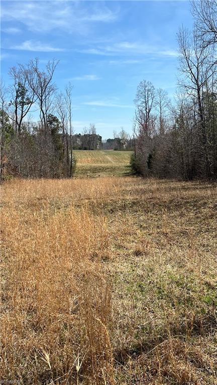 2636 Minden Road Pleasant Garden, NC 27313 - Photo 16 of 17 Gas line easement extends to neighboring farmland