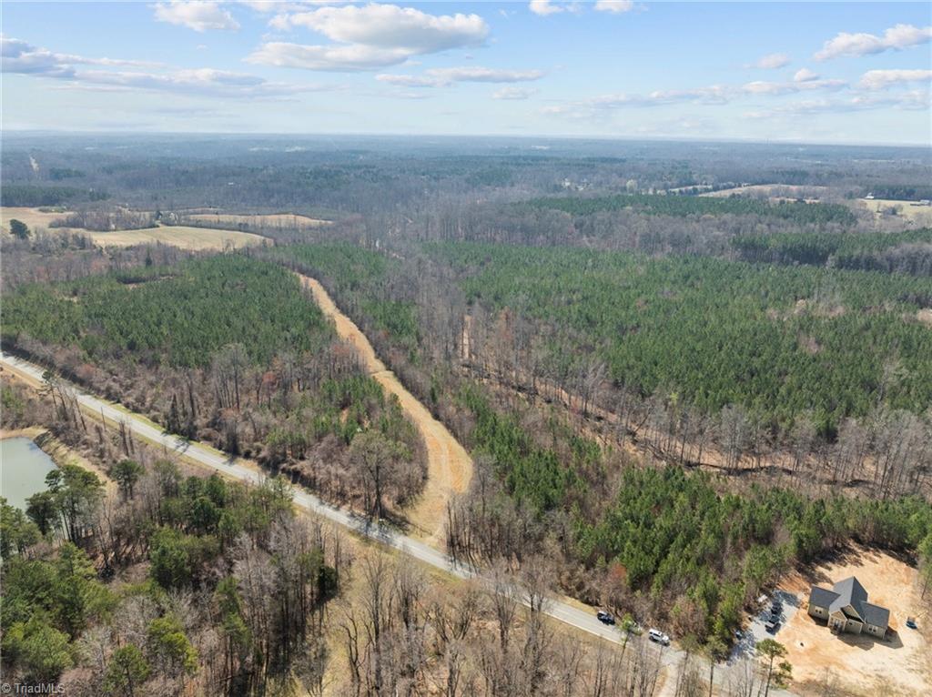2636 Minden Road Pleasant Garden, NC 27313 - Photo 2 of 17 Natural Hardwoods and pines