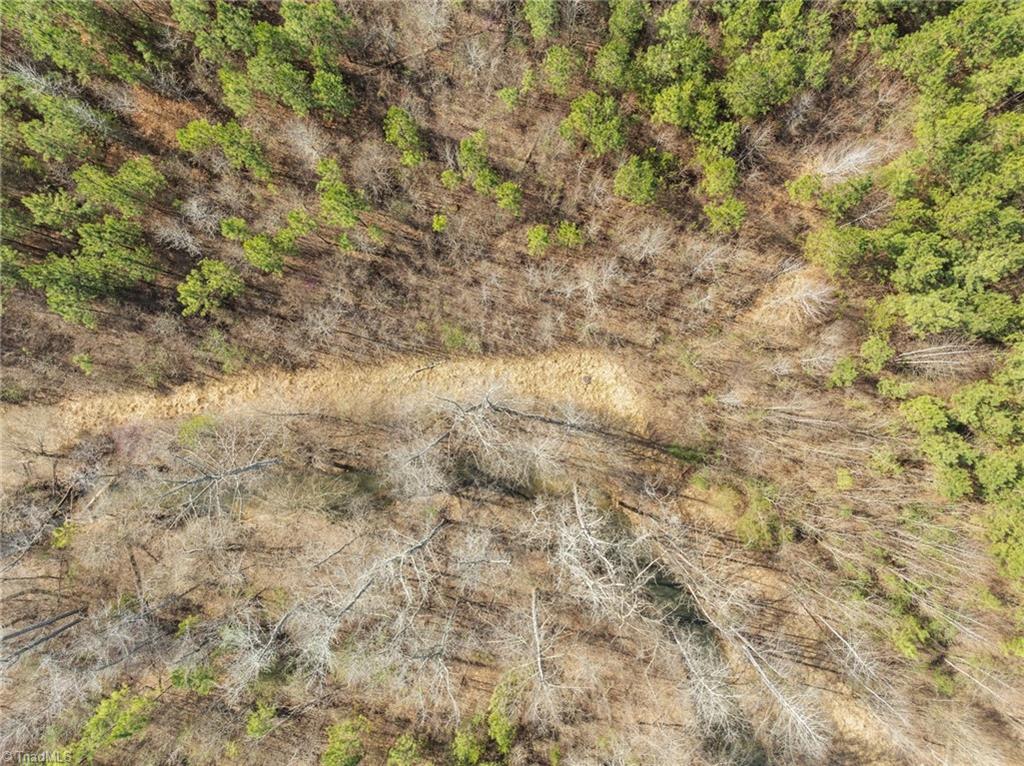 2636 Minden Road Pleasant Garden, NC 27313 - Photo 6 of 17 Sewer line easement with manholes
