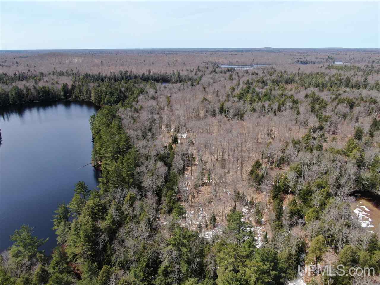 0 Old Seney Road Seney, MI 49883 - Photo 3 of 31