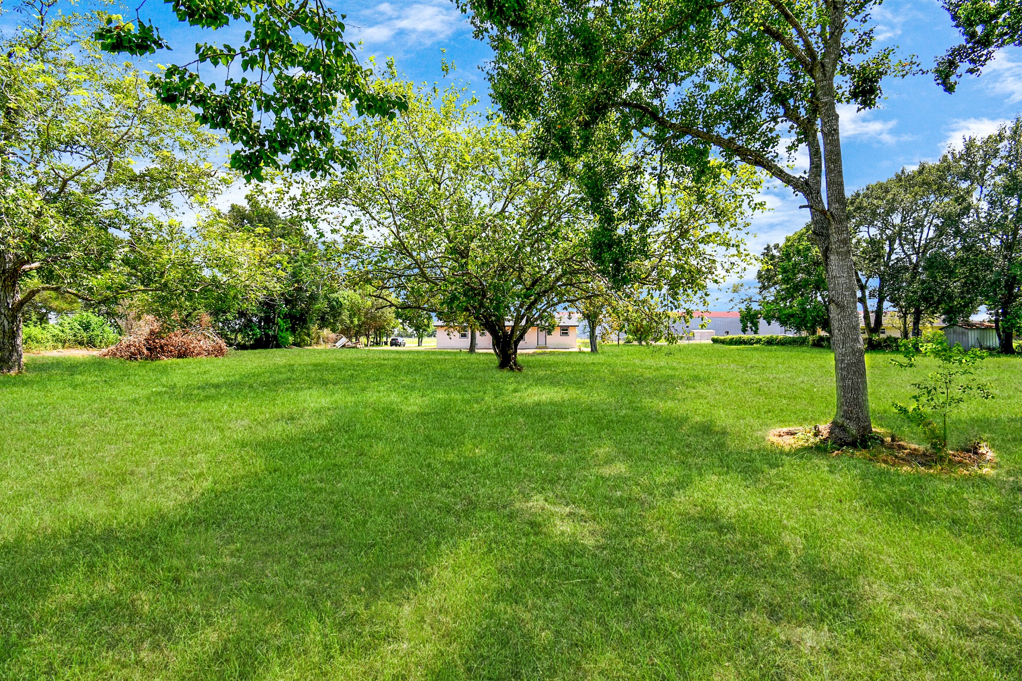 1030 San Felipe Road Sealy, TX 77474 - Photo 4 of 37