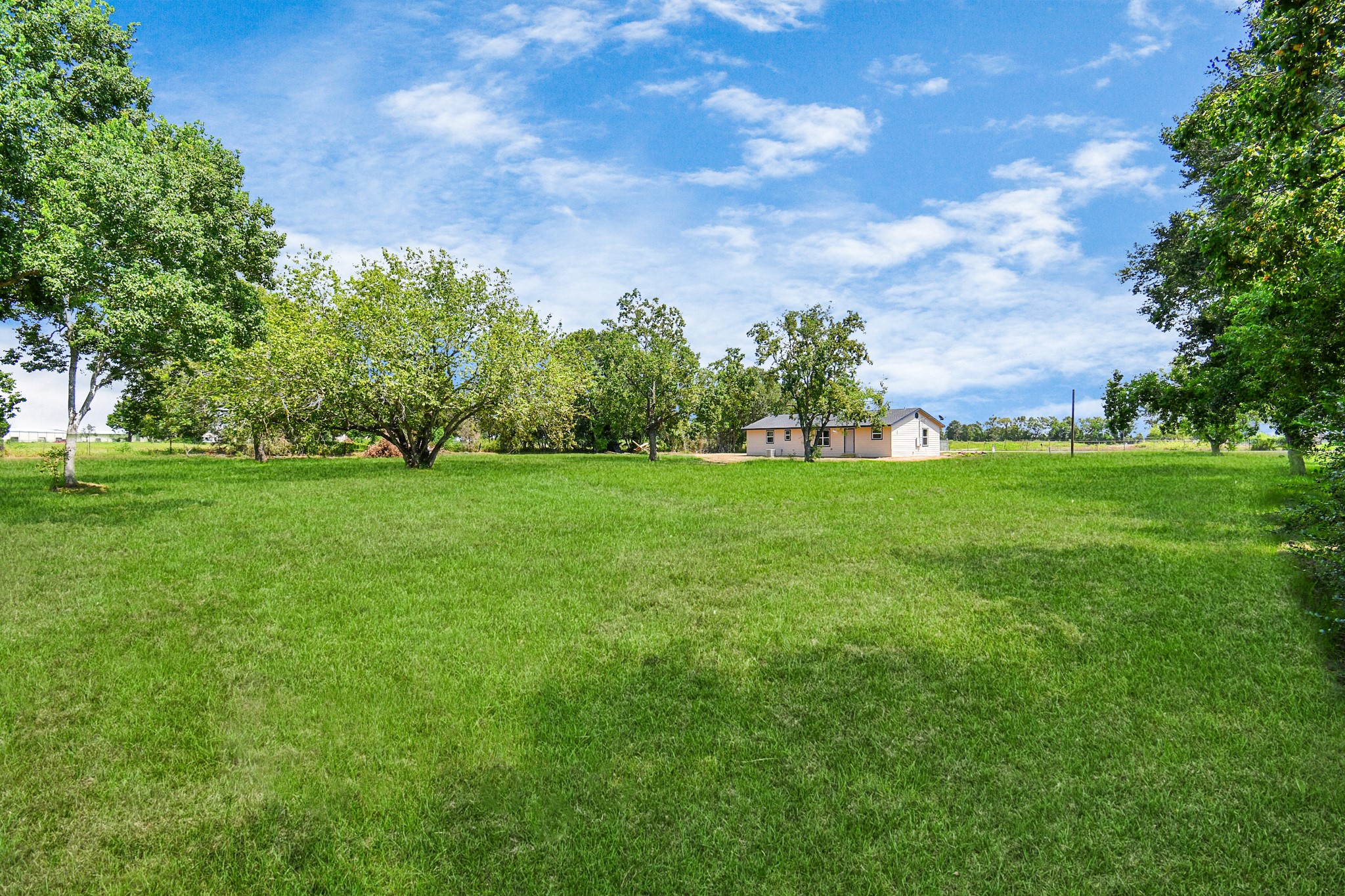 1030 San Felipe Road Sealy, TX 77474 - Photo 6 of 37