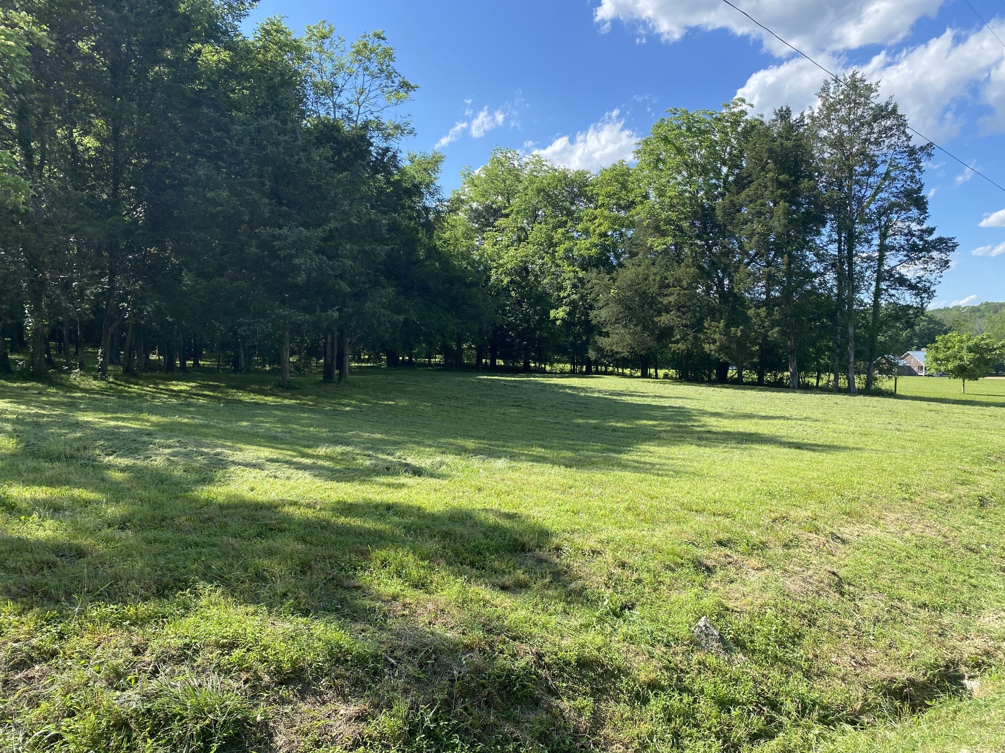 a view of a grassy field with trees