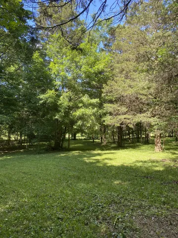 a view of a field with trees in the background