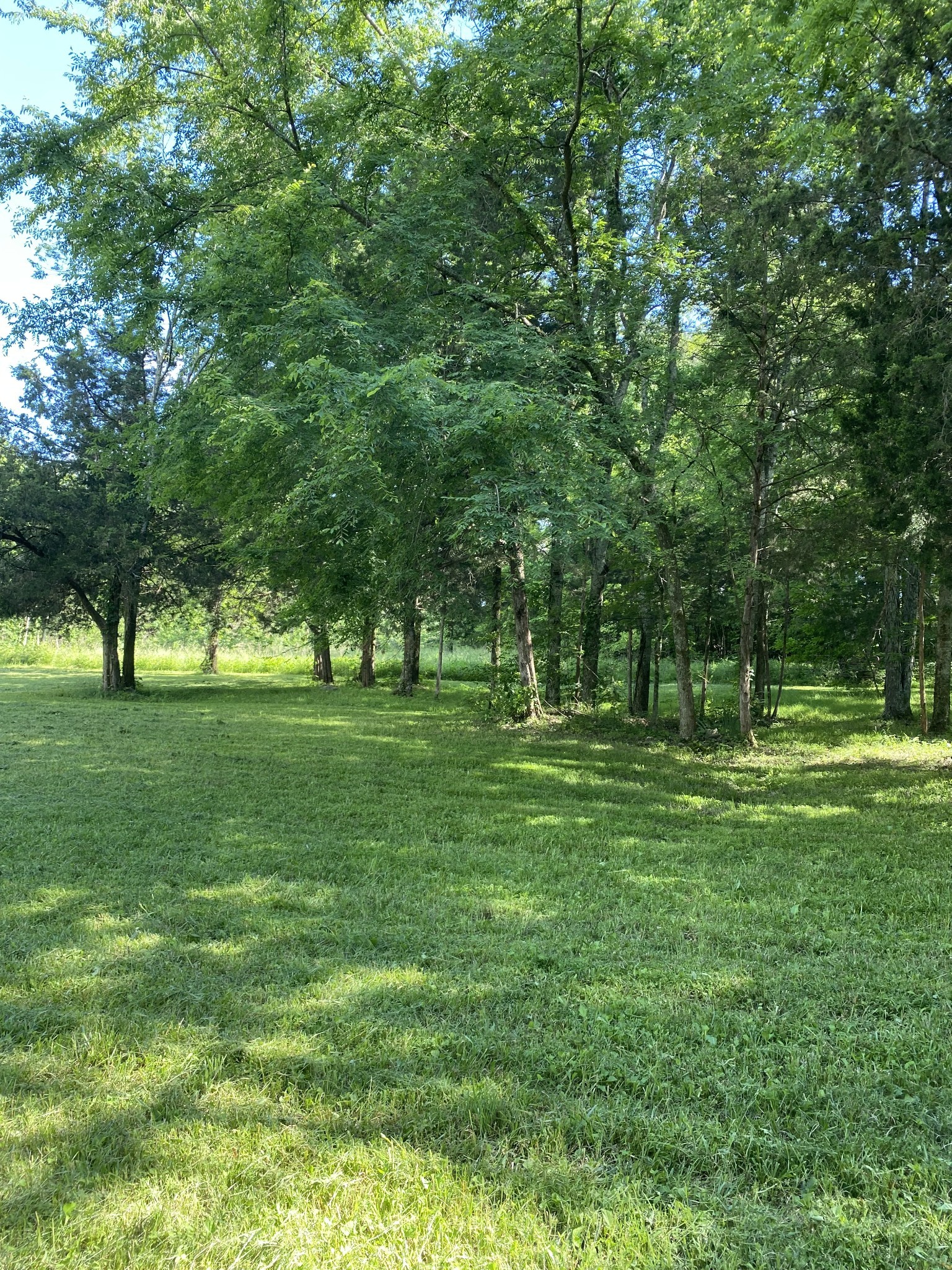2342 Spain Hill Road Lascassas, TN 37085 - Photo 3 of 20 a view of grassy field with benches