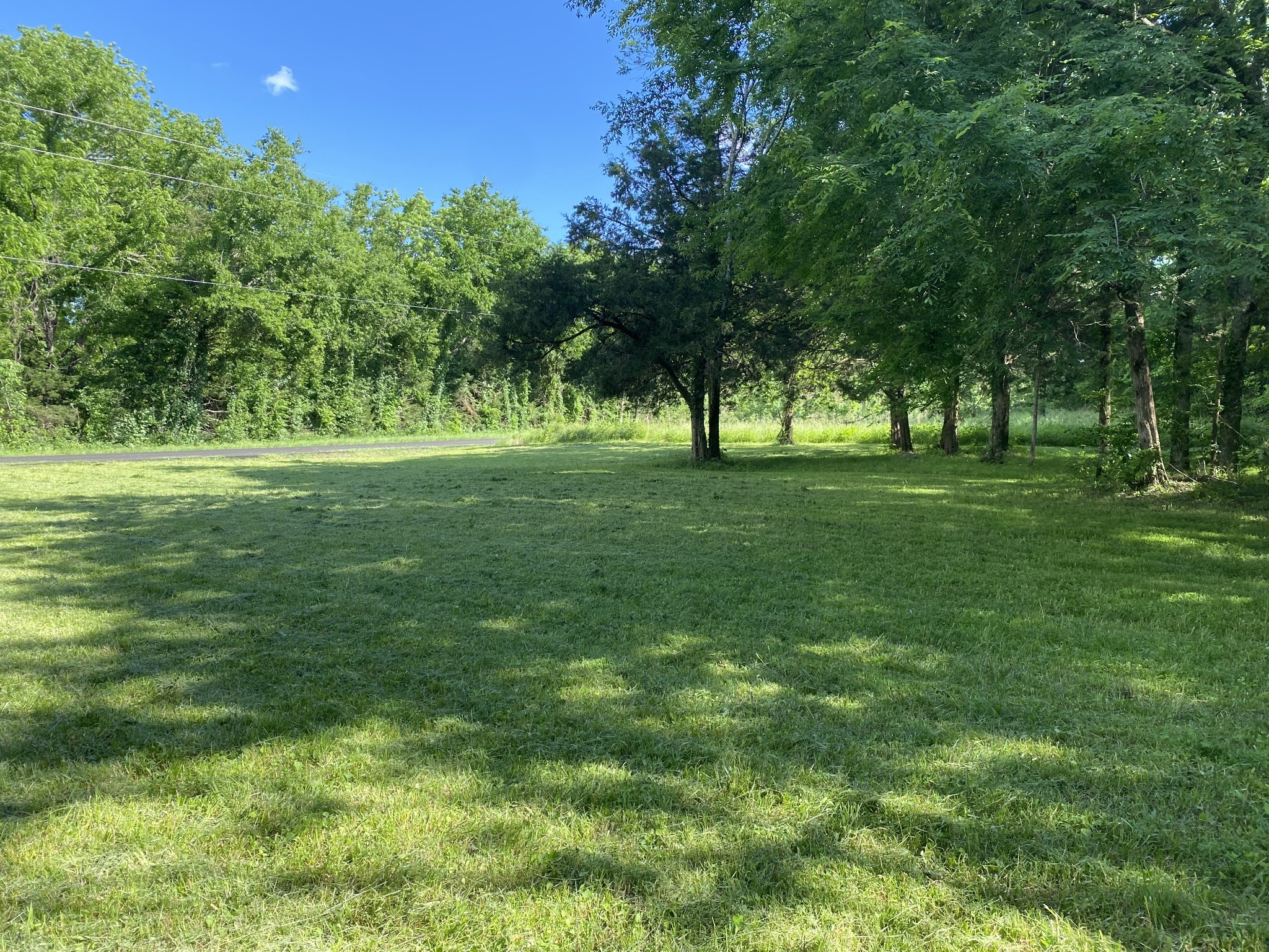 2342 Spain Hill Road Lascassas, TN 37085 - Photo 4 of 20 a view of a big yard with large trees