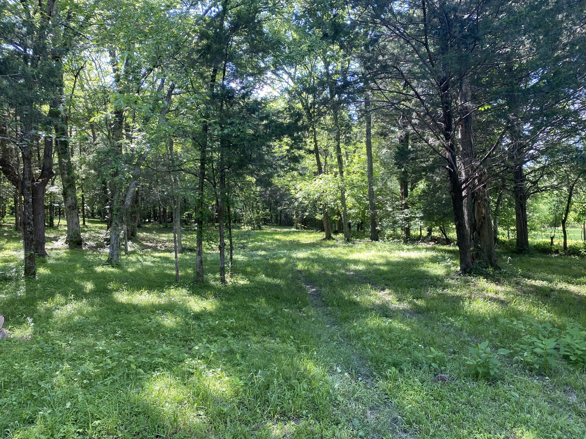 2342 Spain Hill Road Lascassas, TN 37085 - Photo 7 of 20 a view of outdoor space with a garden