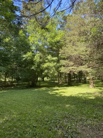 a view of a field with trees in the background
