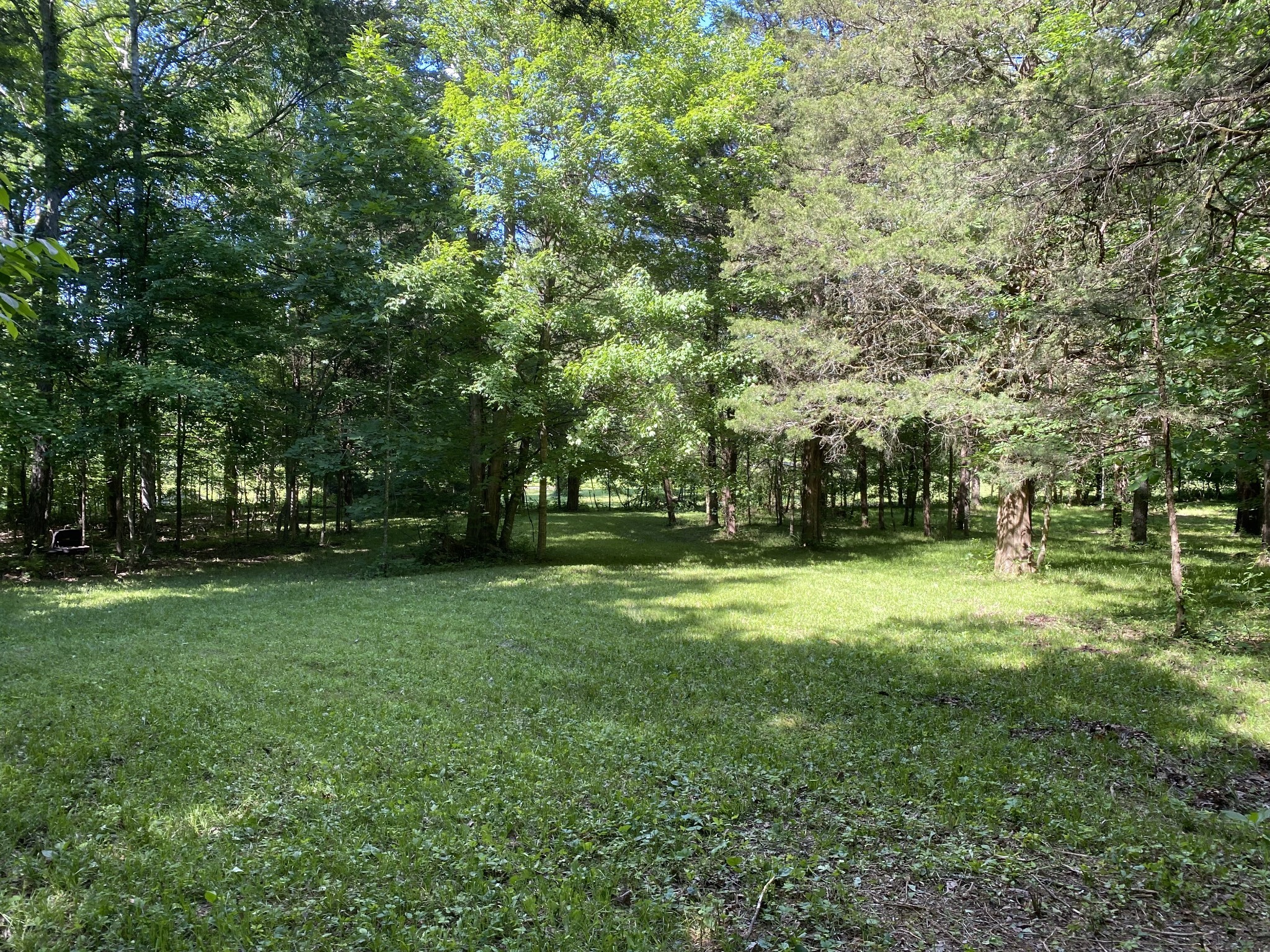 2342 Spain Hill Road Lascassas, TN 37085 - Photo 10 of 20 a view of a trees with a yard