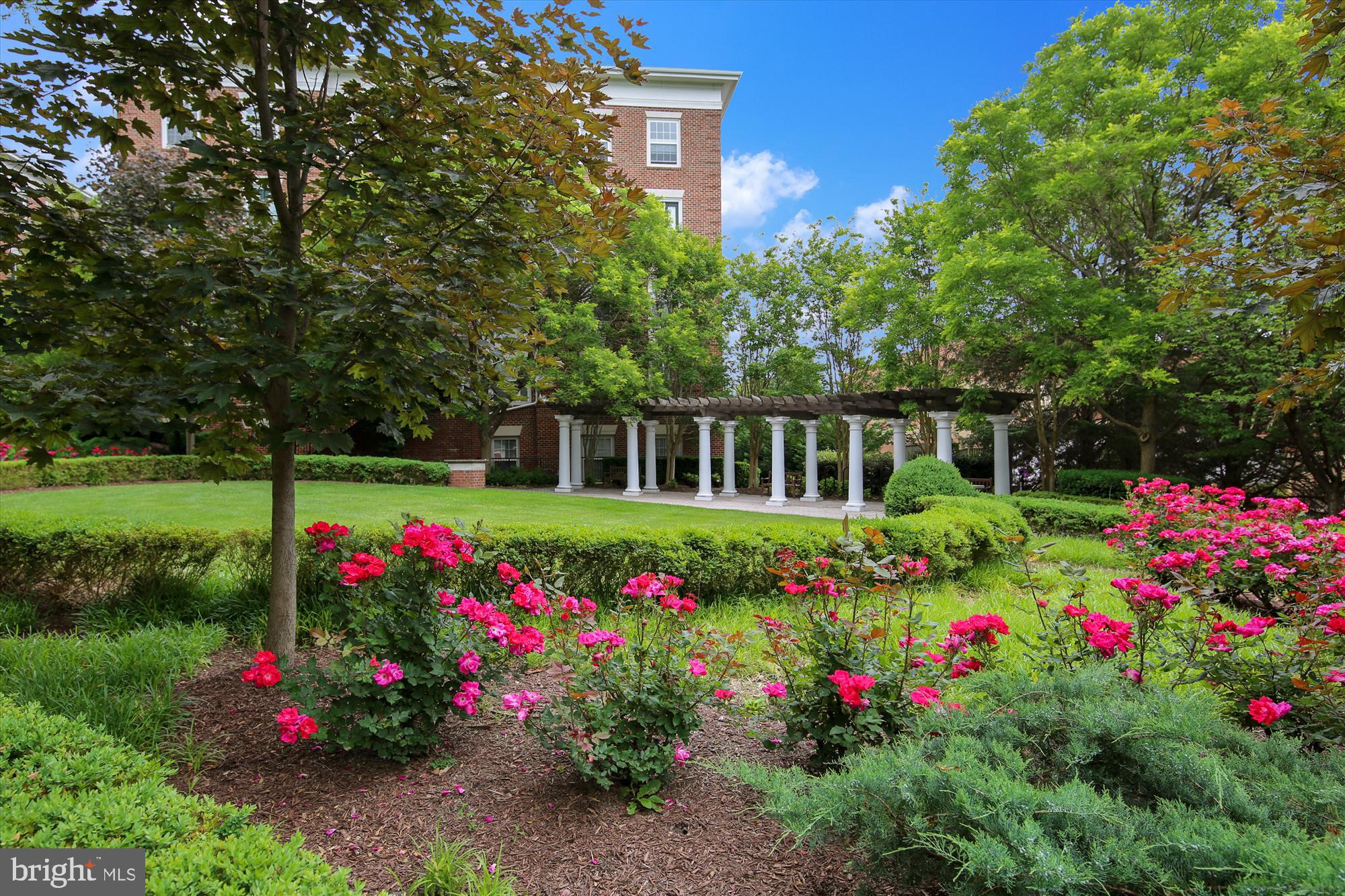 23 Arch Place, Unit 273 Gaithersburg, MD 20878 - Photo 56 of 103 a view of a house with a big yard and large trees