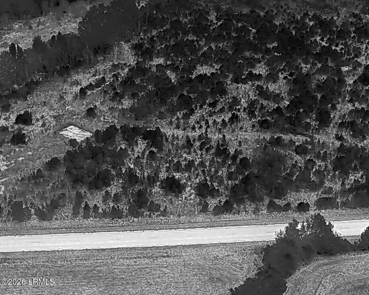 Tbd Voorhees Road Denmark, SC 29042 - Photo 11 of 20 DJI_20260429160704_0002_T