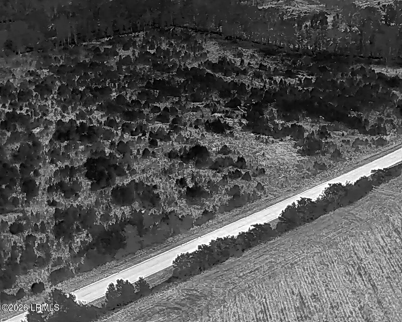 Tbd Voorhees Road Denmark, SC 29042 - Photo 12 of 20 DJI_20260429160707_0003_T