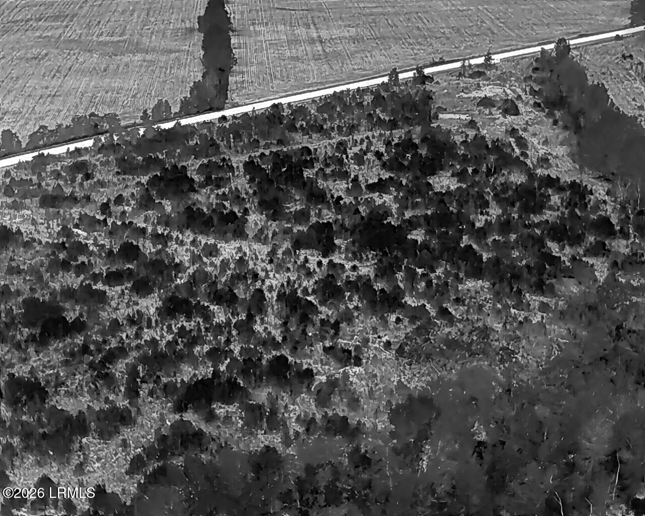Tbd Voorhees Road Denmark, SC 29042 - Photo 13 of 20 DJI_20260429160810_0004_T