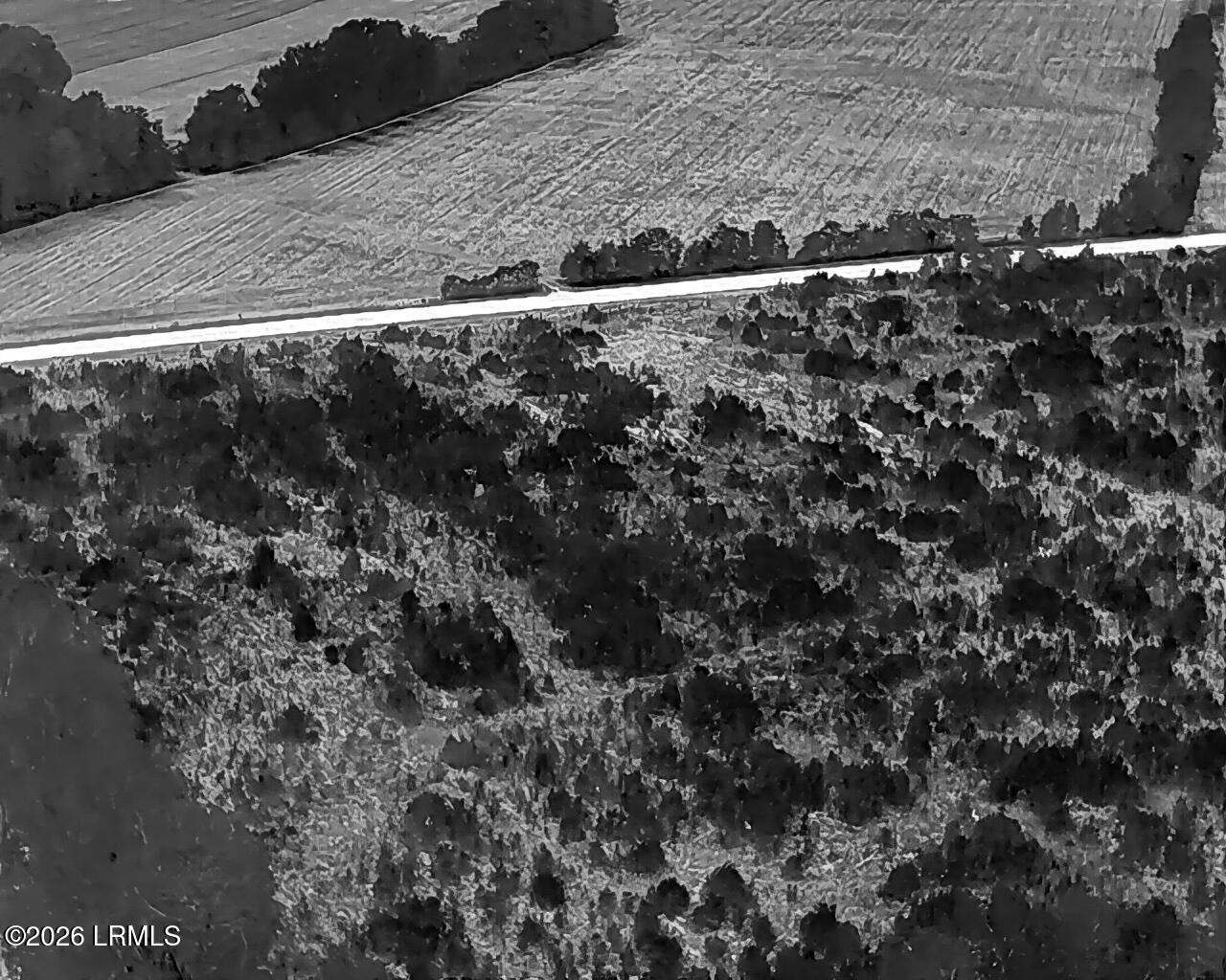 Tbd Voorhees Road Denmark, SC 29042 - Photo 14 of 20 DJI_20260429160814_0005_T