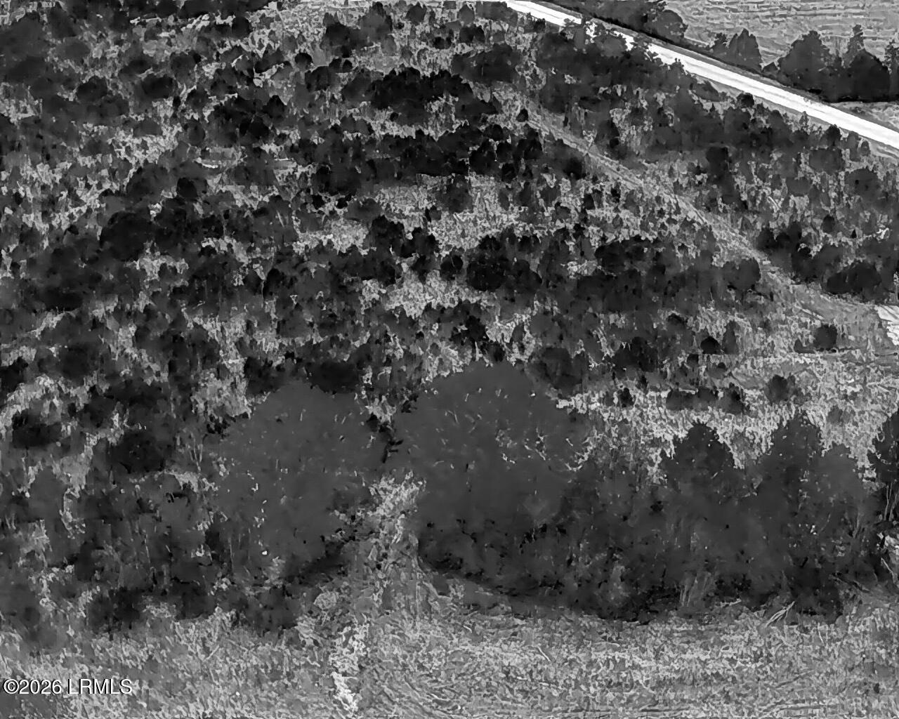 Tbd Voorhees Road Denmark, SC 29042 - Photo 16 of 20 DJI_20260429160910_0009_T