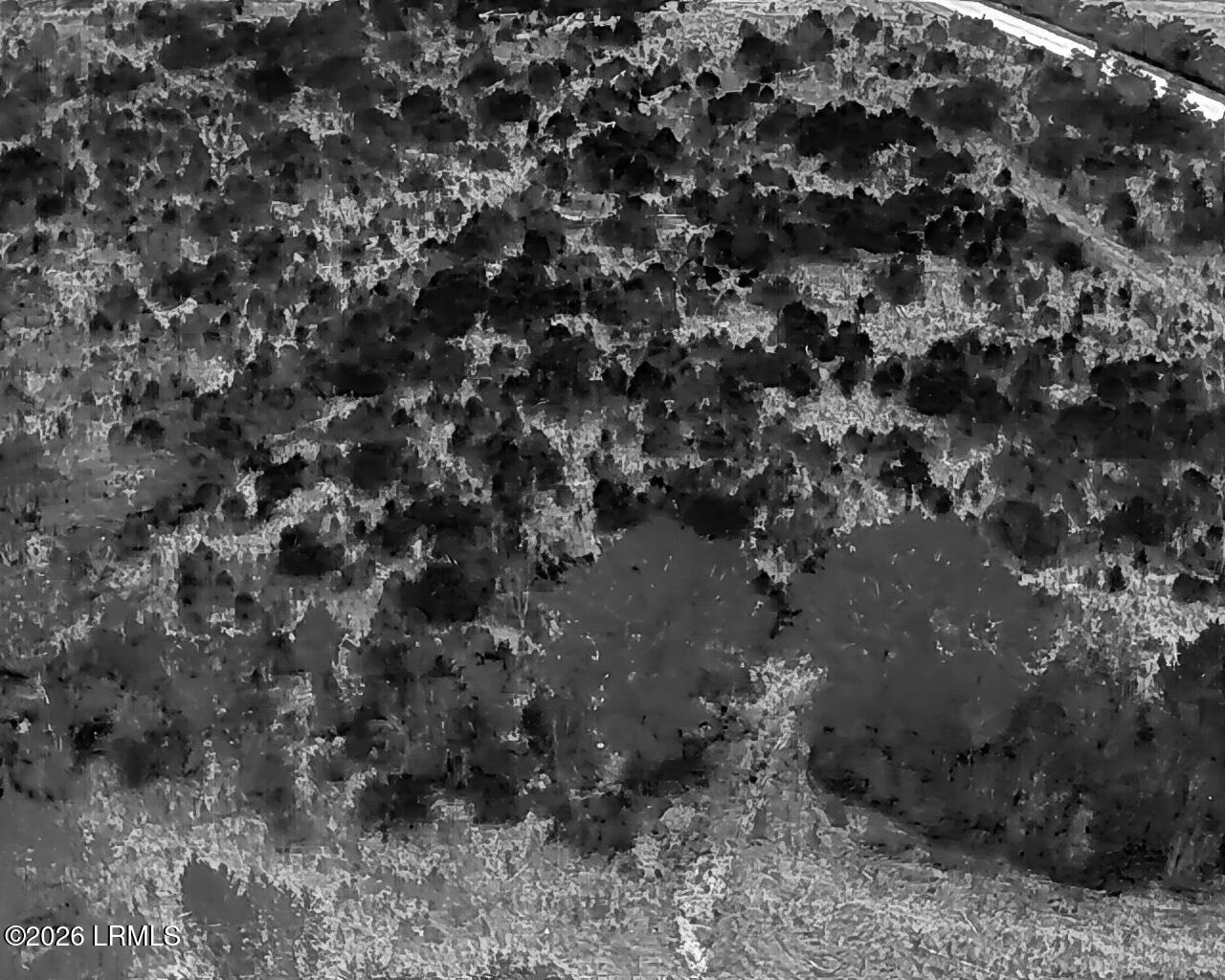 Tbd Voorhees Road Denmark, SC 29042 - Photo 17 of 20 DJI_20260429160912_0010_T