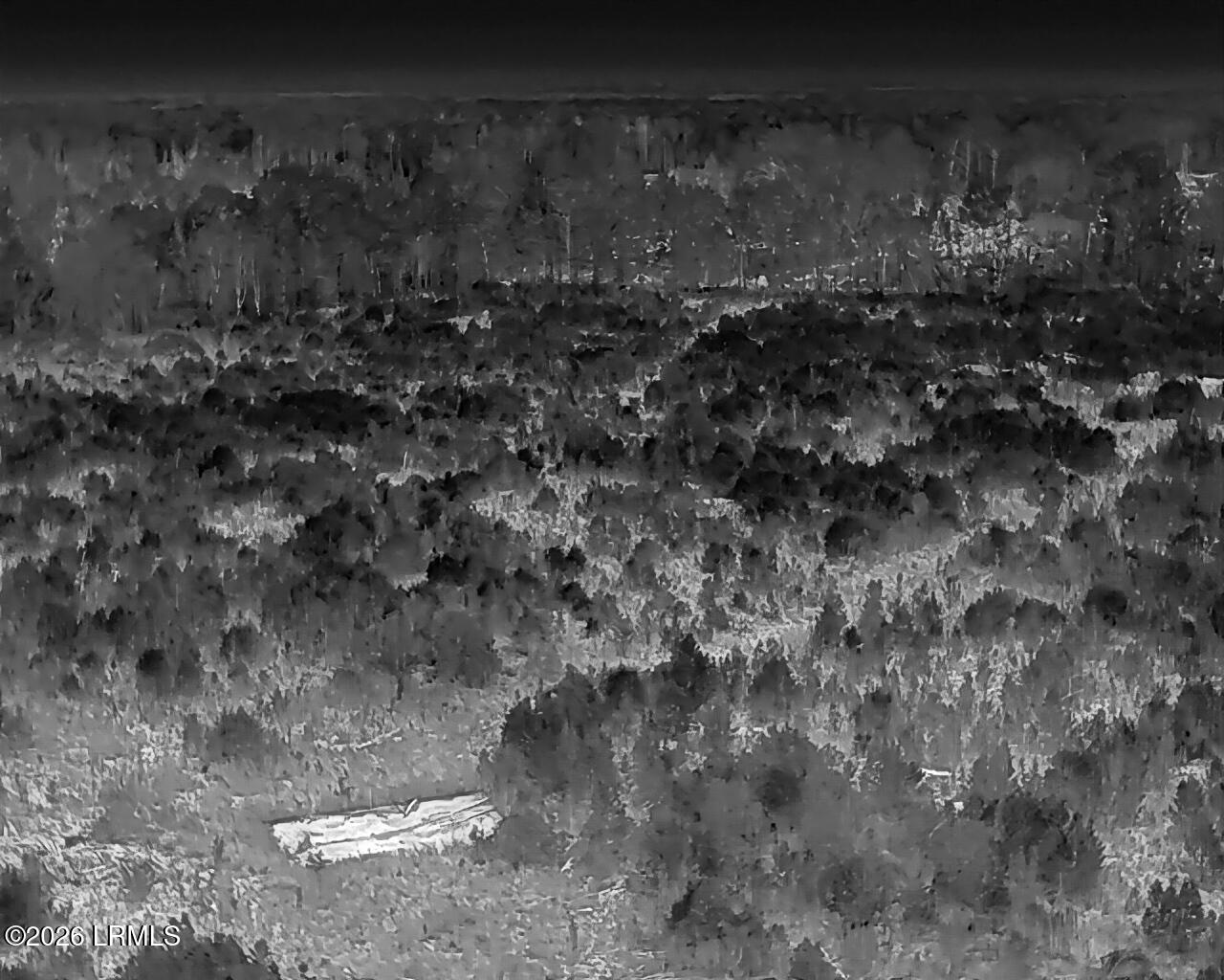 Tbd Voorhees Road Denmark, SC 29042 - Photo 18 of 20 DJI_20260429160601_0001_T