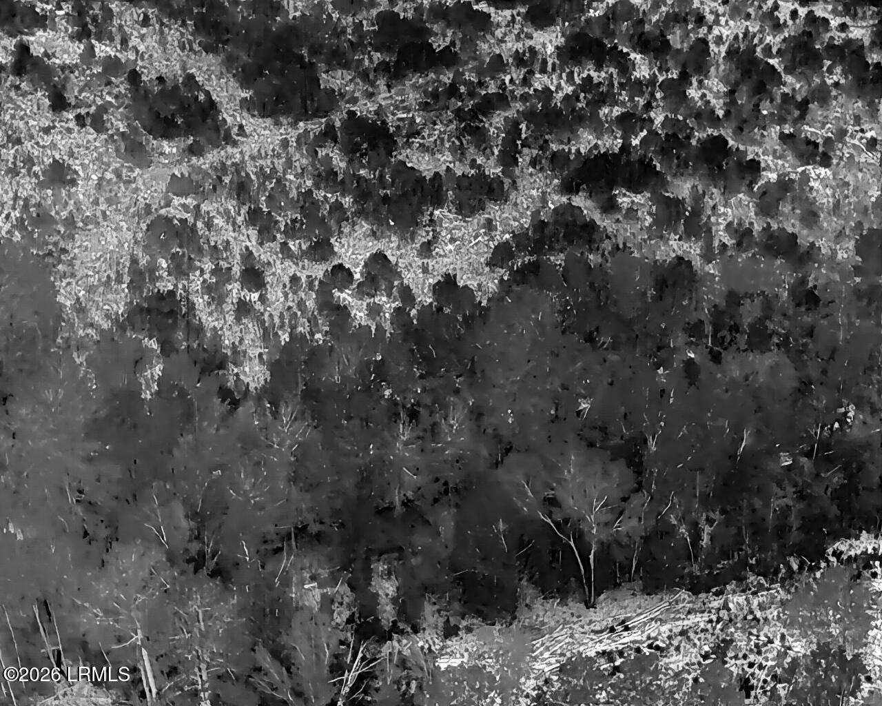 Tbd Voorhees Road Denmark, SC 29042 - Photo 19 of 20 DJI_20260429160818_0006_T