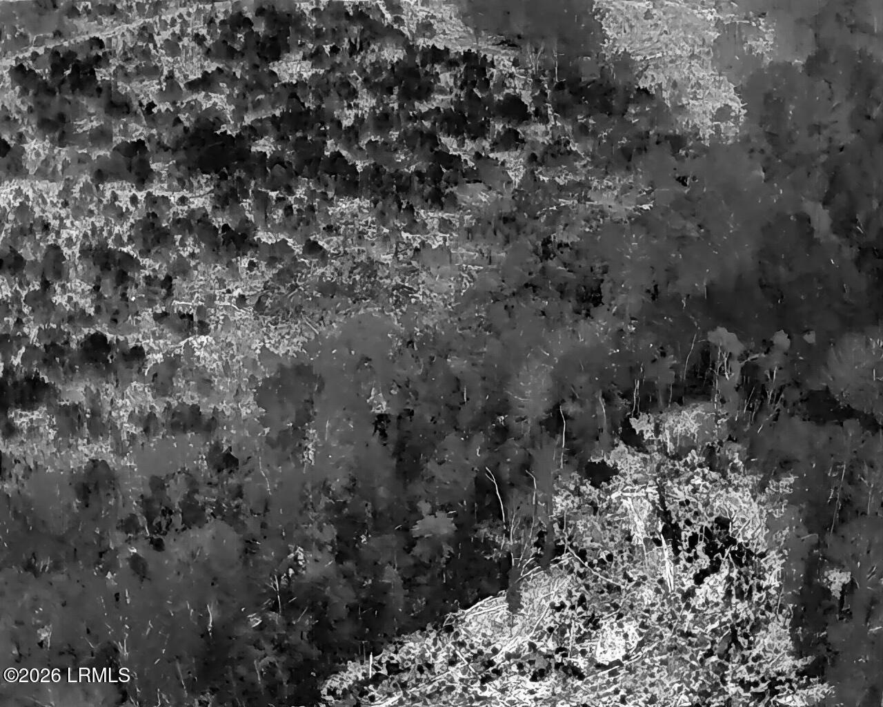 Tbd Voorhees Road Denmark, SC 29042 - Photo 20 of 20 DJI_20260429160822_0007_T