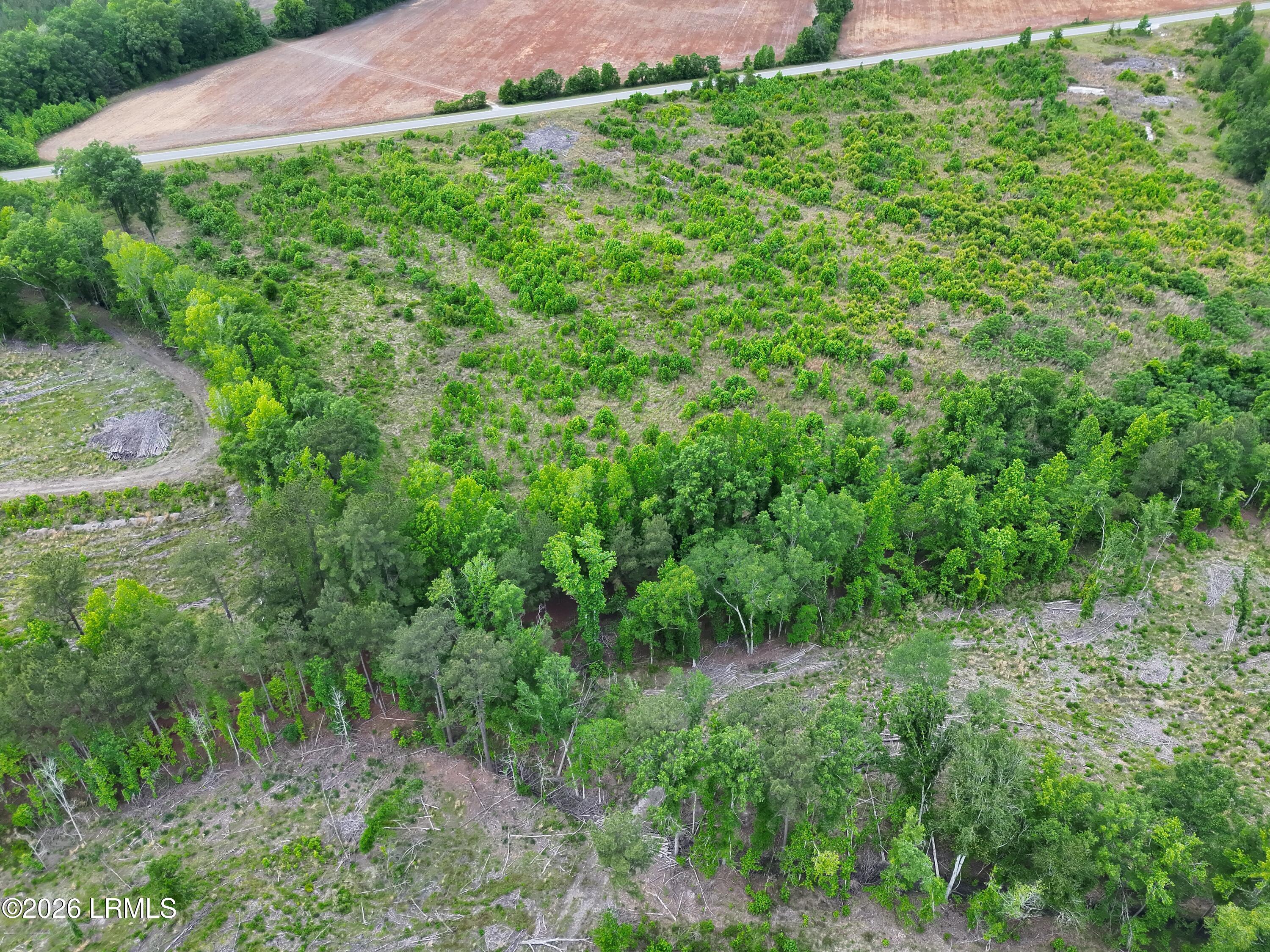 Tbd Voorhees Road Denmark, SC 29042 - Photo 6 of 20 DJI_20260429160818_0006_V