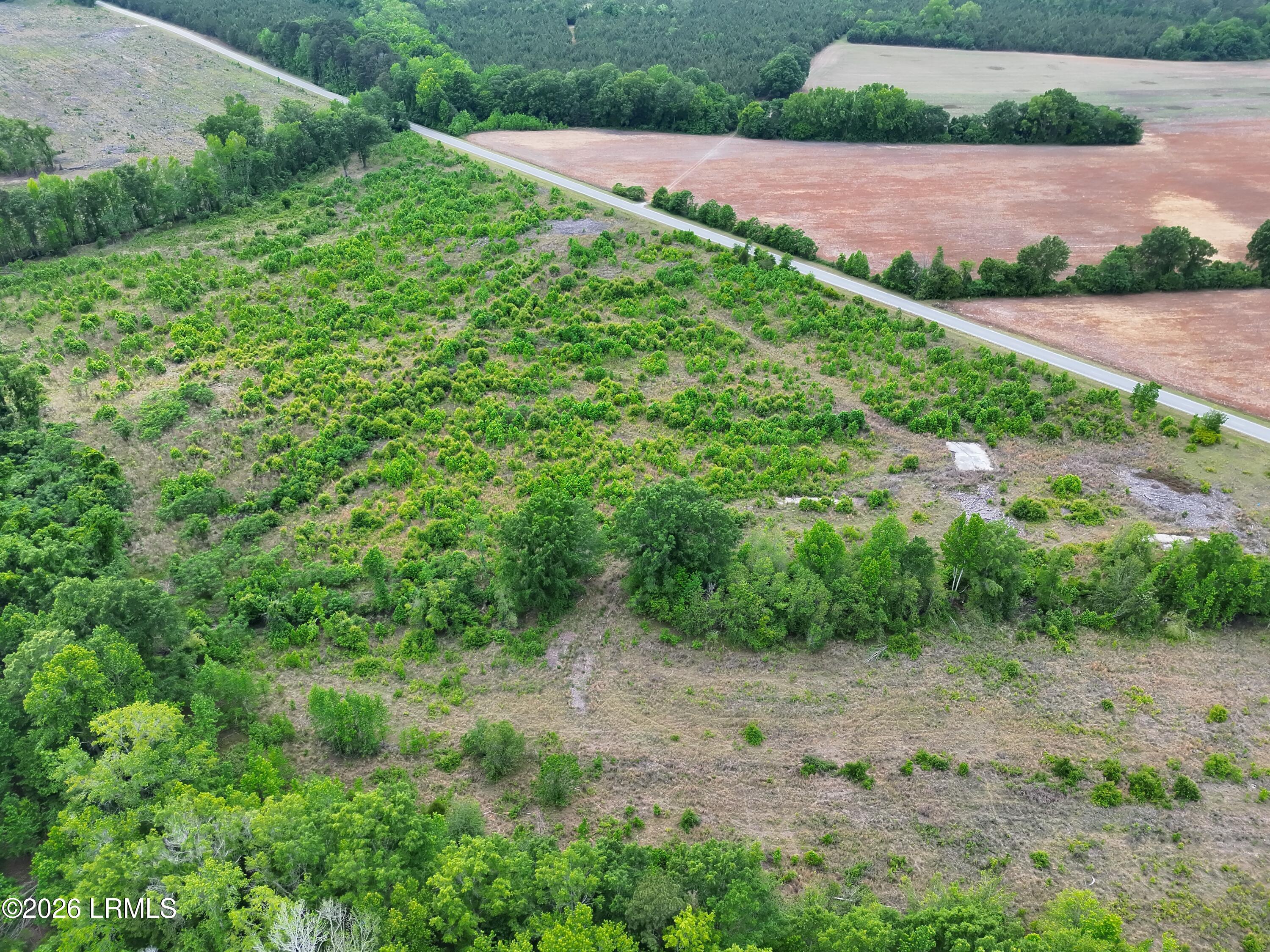 Tbd Voorhees Road Denmark, SC 29042 - Photo 8 of 20 DJI_20260429160908_0008_V