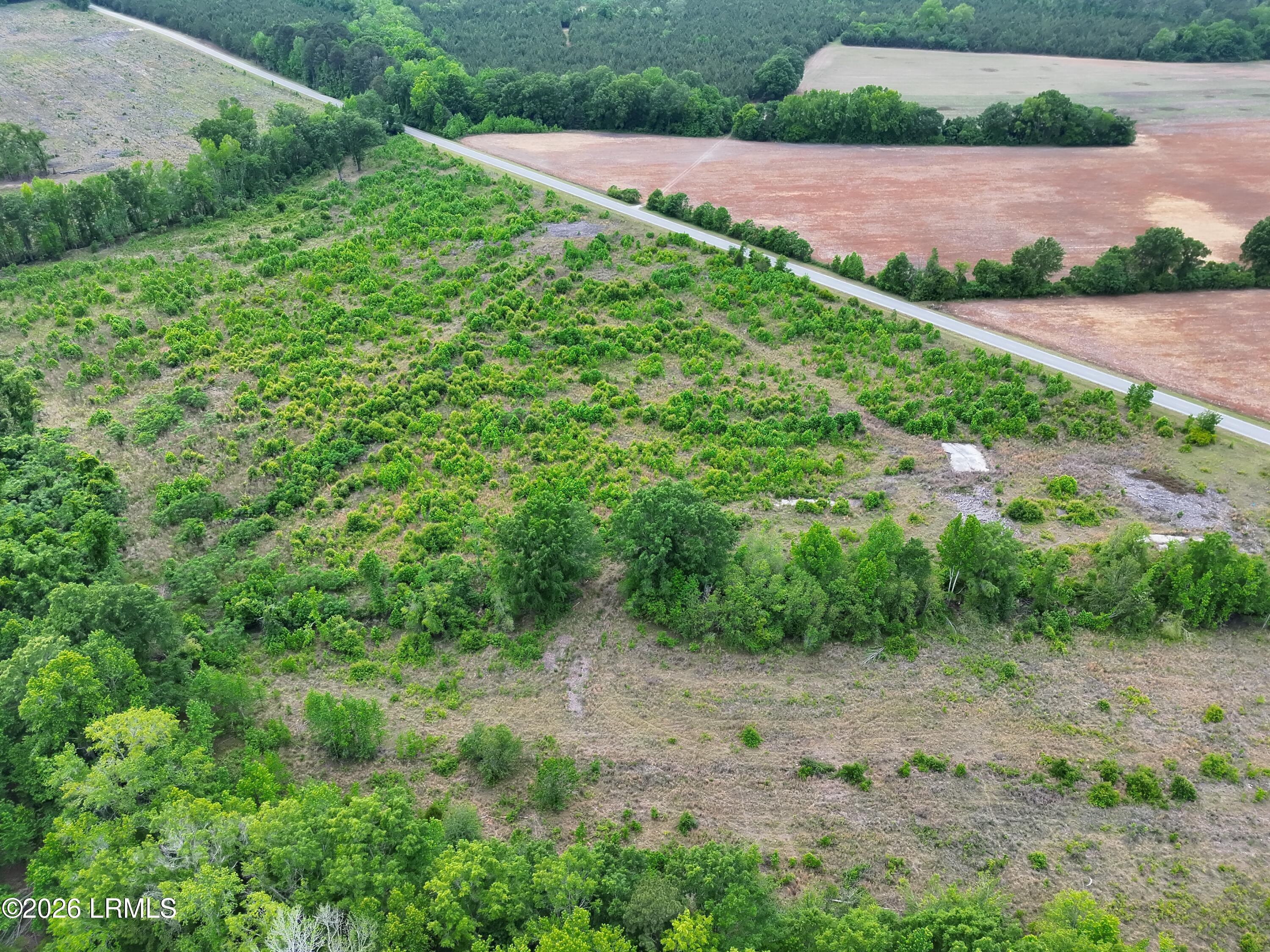 Tbd Voorhees Road Denmark, SC 29042 - Photo 9 of 20 DJI_20260429160910_0009_V