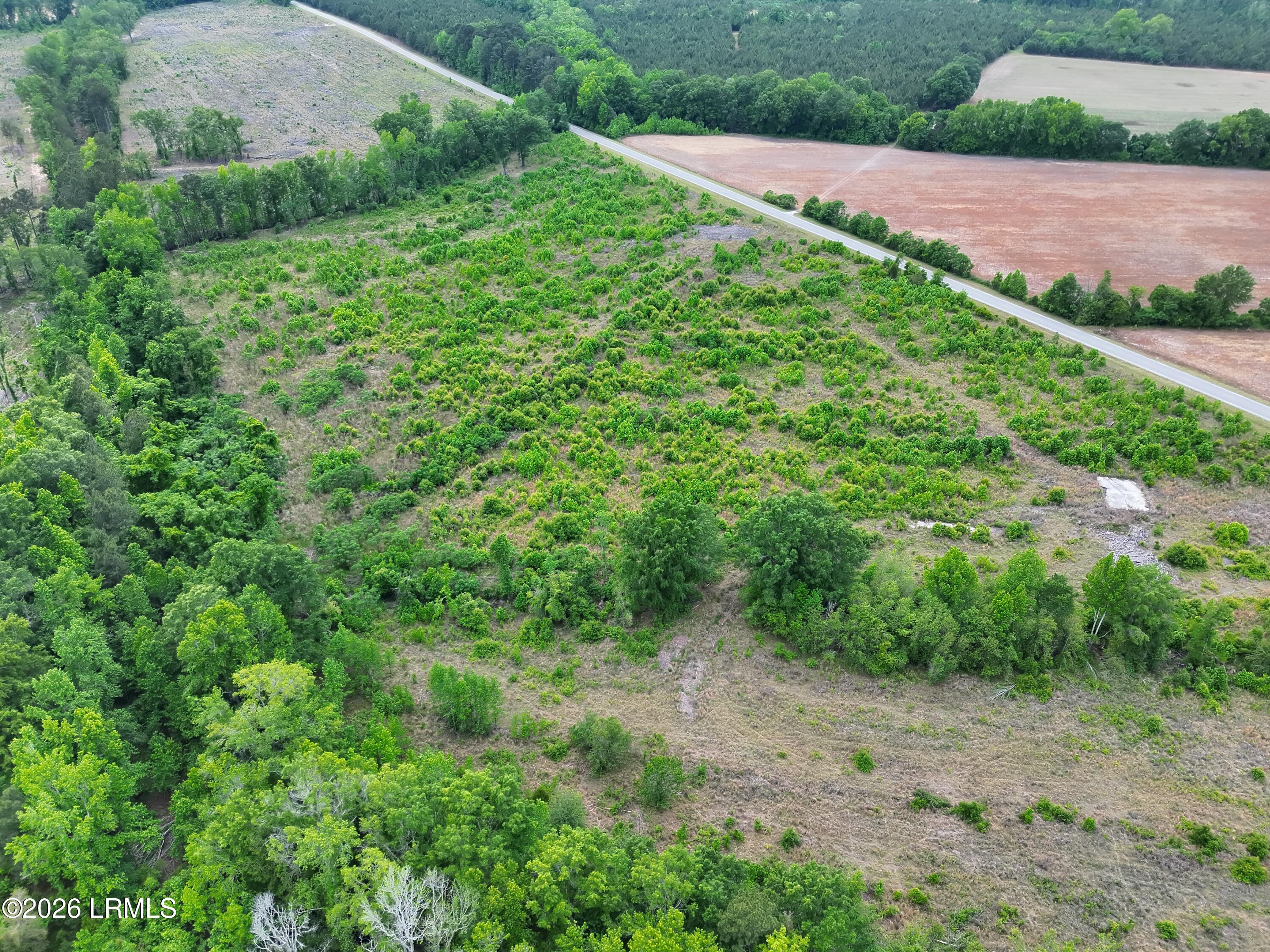 Tbd Voorhees Road Denmark, SC 29042 - Photo 10 of 20 DJI_20260429160912_0010_V