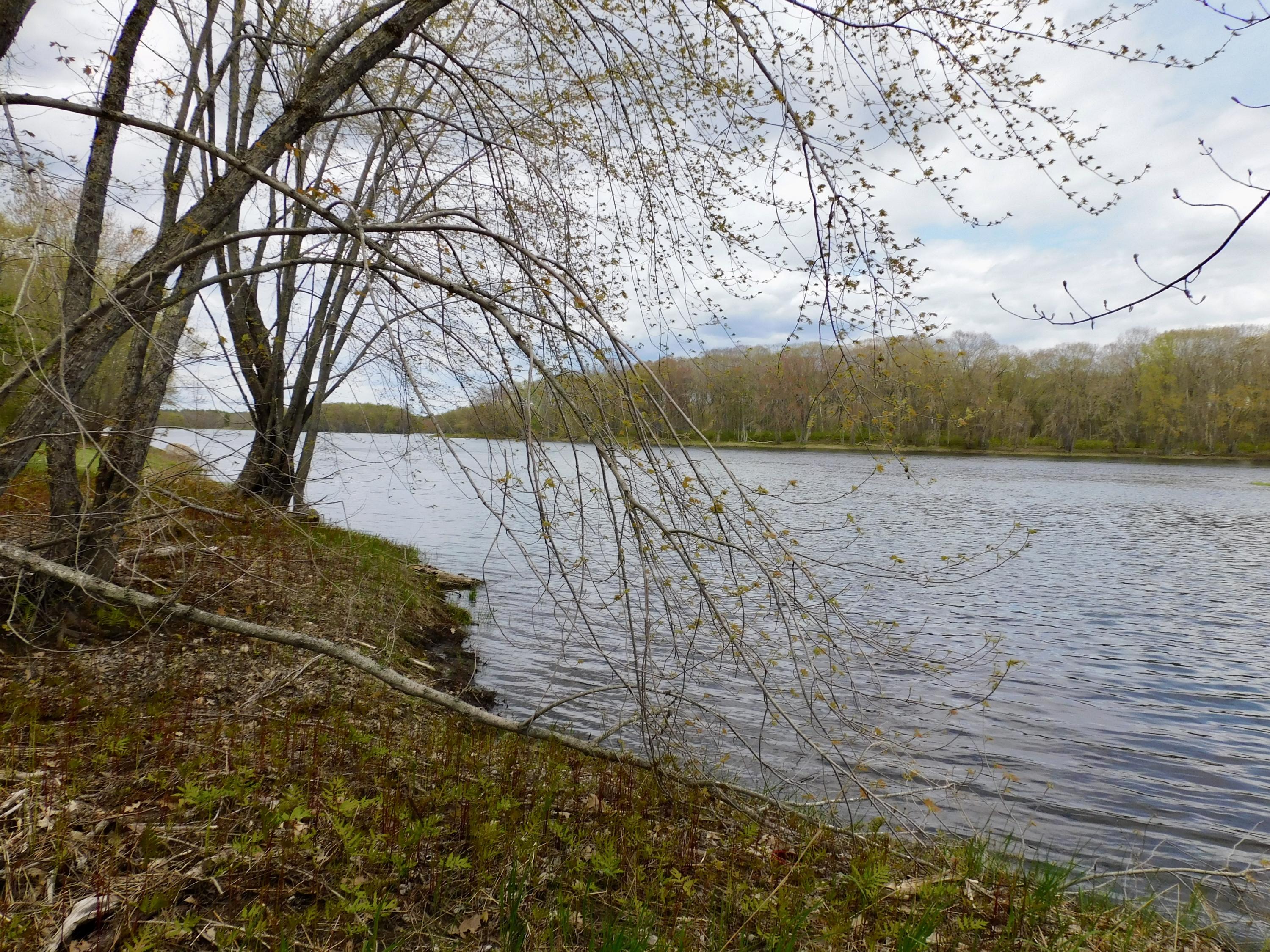 M4-l30 Edinburg Road Howland, ME 04448 - Photo 12 of 13 M4 L30