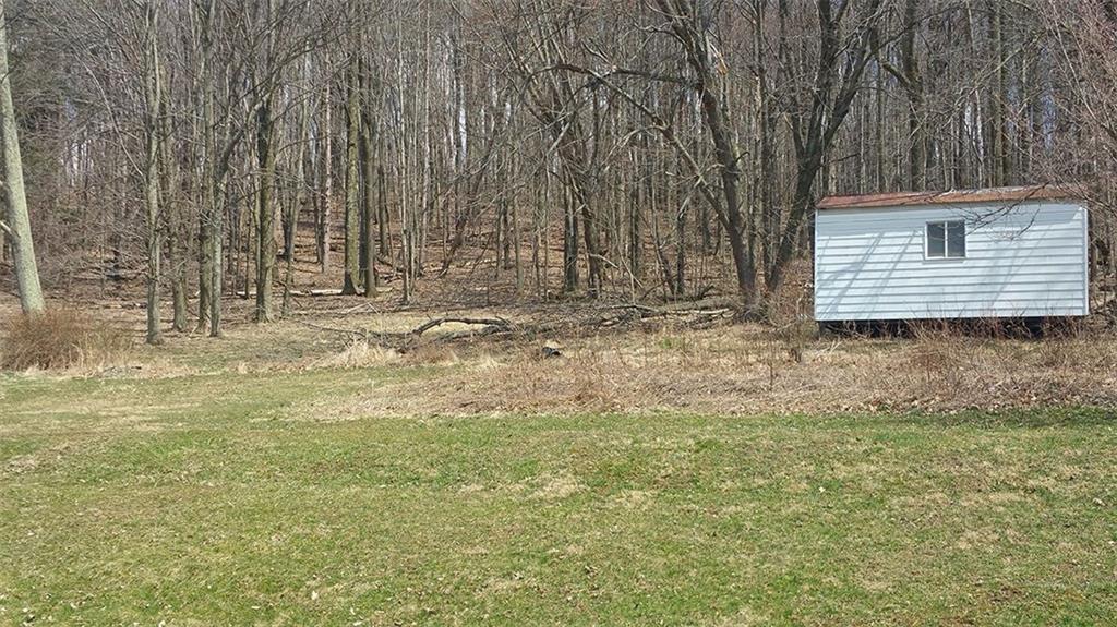 427 North Ben Franklin Road Indiana, PA 15701 - Photo 24 of 25 Backyard