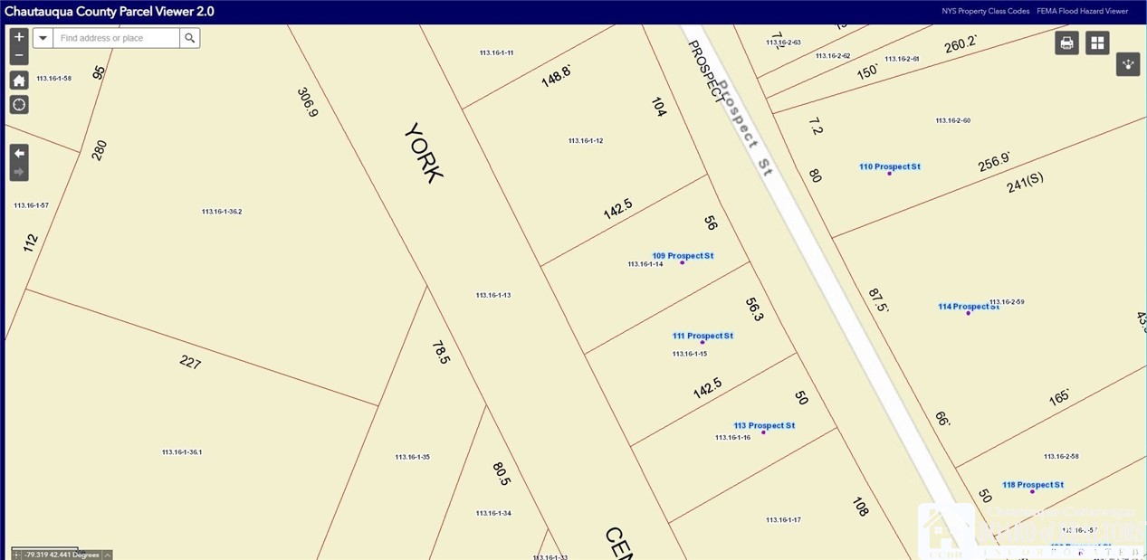 113 Prospect Street Pomfret, NY 14063 - Photo 50 of 50