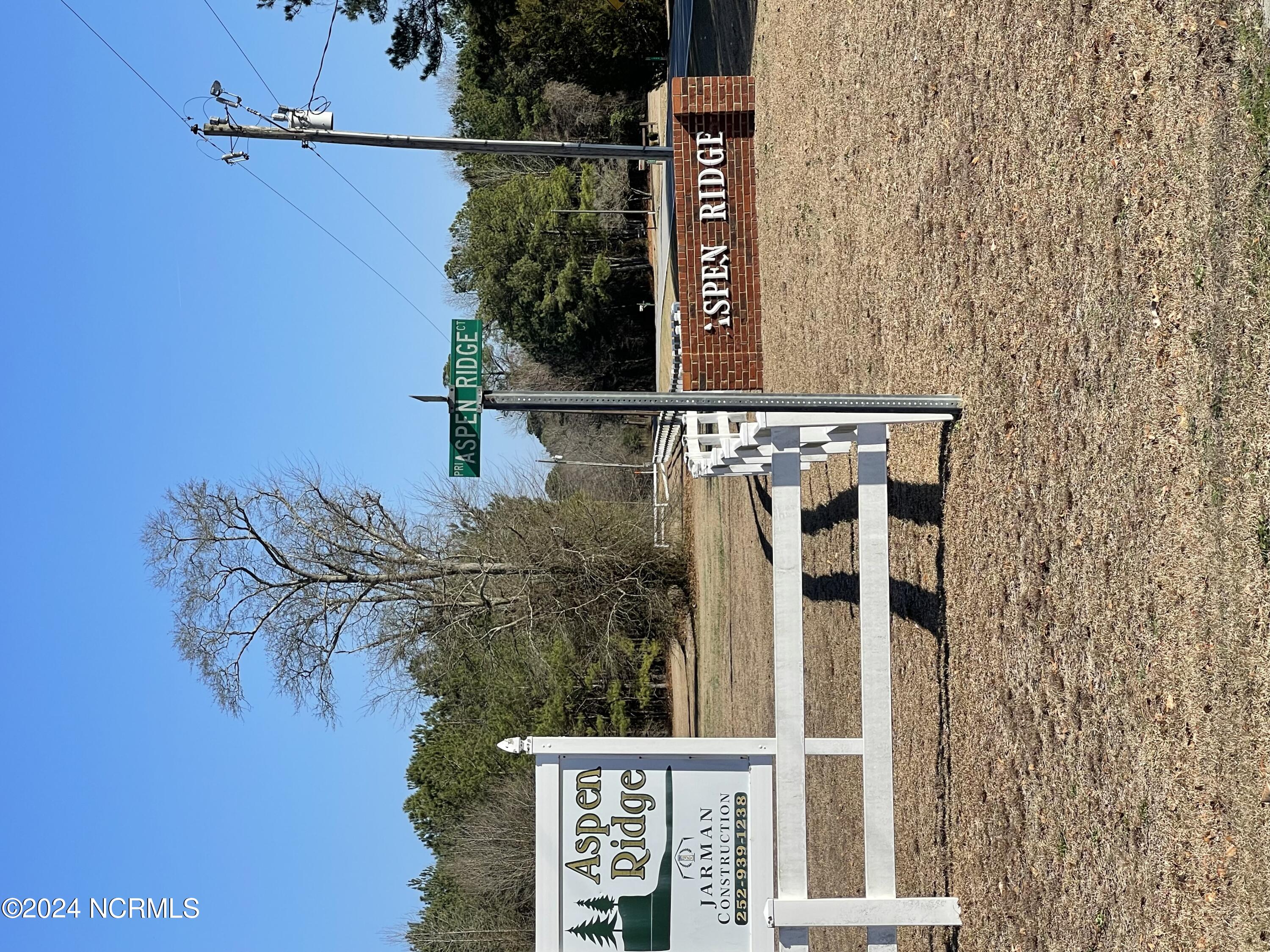 11 Aspen Ridge Court Deep Run, NC 28525 - Photo 1 of 6 Front