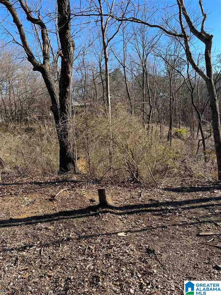 0 Post Oak Road, Unit 20 Anniston, AL 36206 - Photo 3 of 5