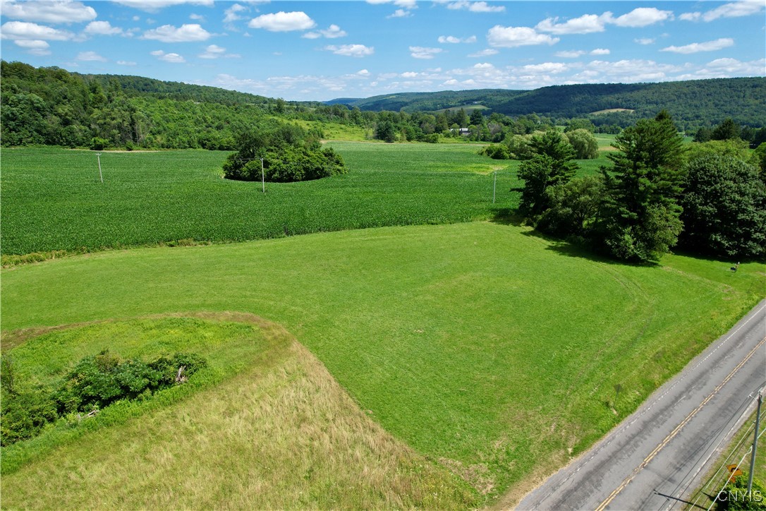 0 East Lake Road De Ruyter, NY 13052 - Photo 13 of 17