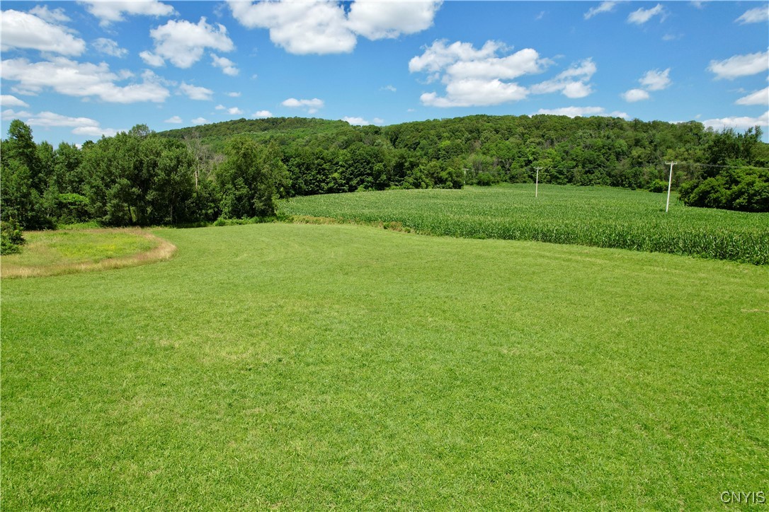 0 East Lake Road De Ruyter, NY 13052 - Photo 15 of 17
