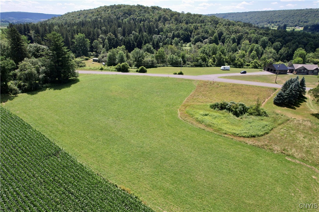 0 East Lake Road De Ruyter, NY 13052 - Photo 9 of 17