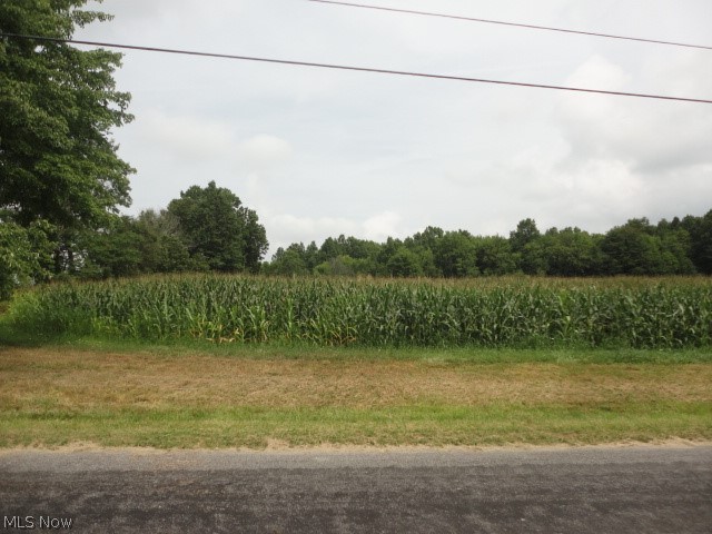 Heisler Road North Benton, OH 44449 - Photo 1 of 14 Gallery Image 1