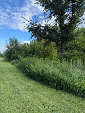 $87,500 | 0 Plum Hollow Court, Dixon, IL 61021