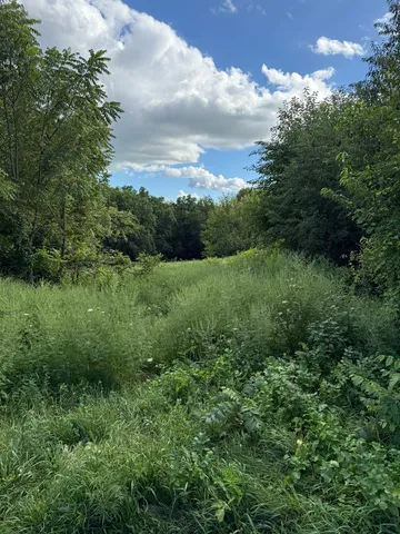 $87,500 | 0 Plum Hollow Court, Dixon, IL 61021