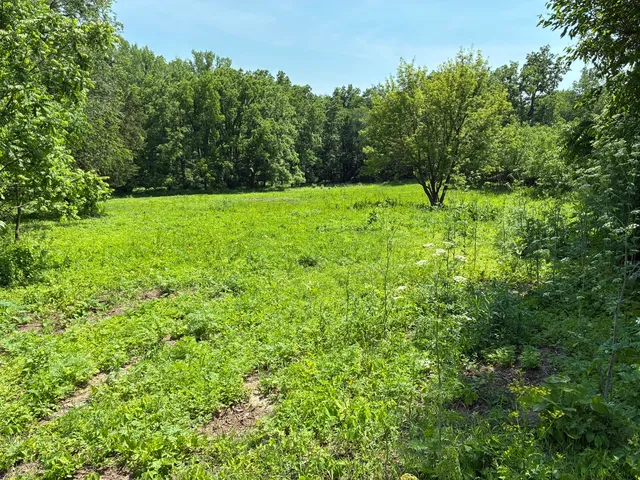 $87,500 | 0 Plum Hollow Court, Dixon, IL 61021