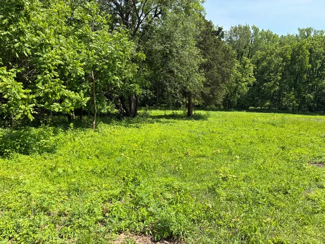 $87,500 | 0 Plum Hollow Court, Dixon, IL 61021