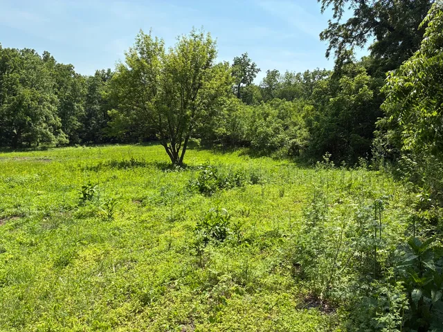 $87,500 | 0 Plum Hollow Court, Dixon, IL 61021