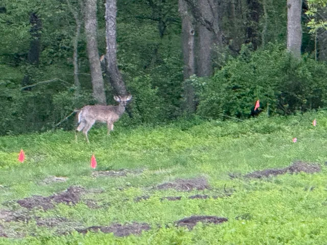 $87,500 | 0 Plum Hollow Court, Dixon, IL 61021