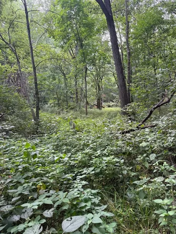 $87,500 | 0 Plum Hollow Court, Dixon, IL 61021