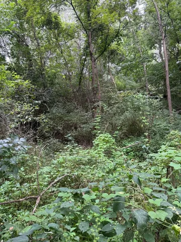 $87,500 | 0 Plum Hollow Court, Dixon, IL 61021