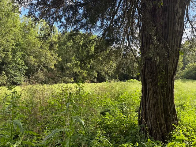 $87,500 | 0 Plum Hollow Court, Dixon, IL 61021