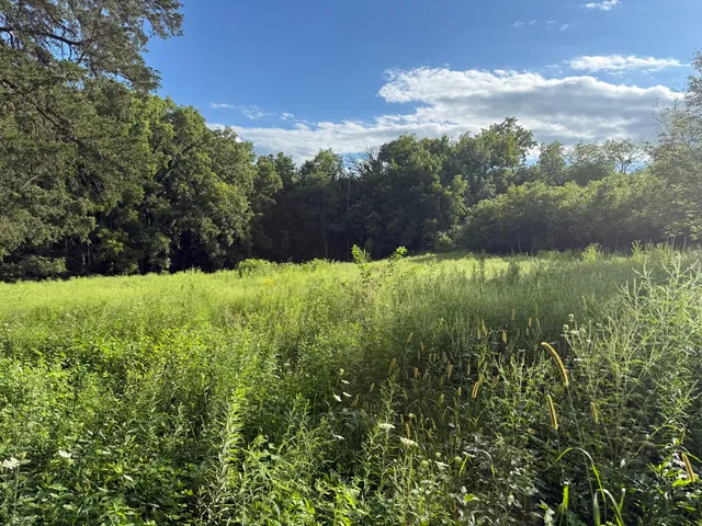 $87,500 | 0 Plum Hollow Court, Dixon, IL 61021